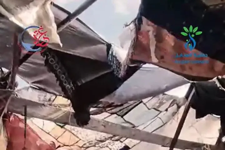 غزة.. شتاءٌ دافئ